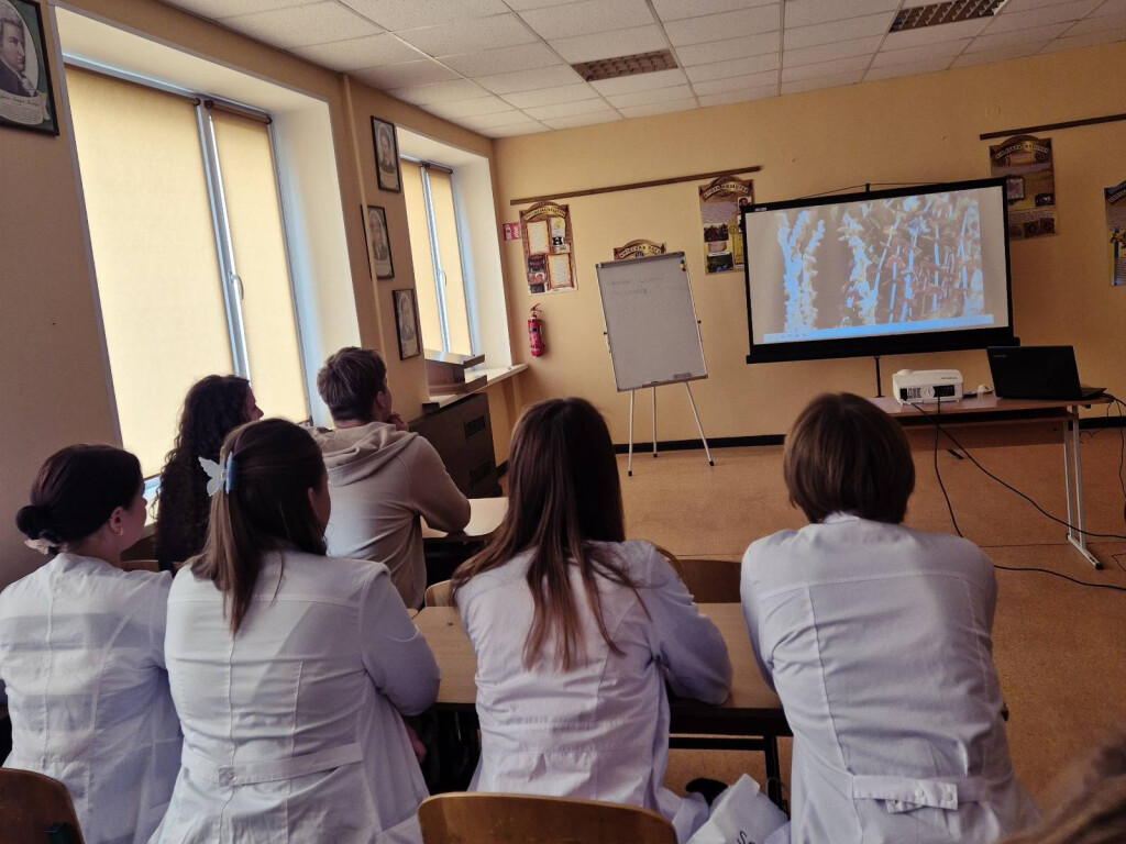 Подорож у світ українських традицій